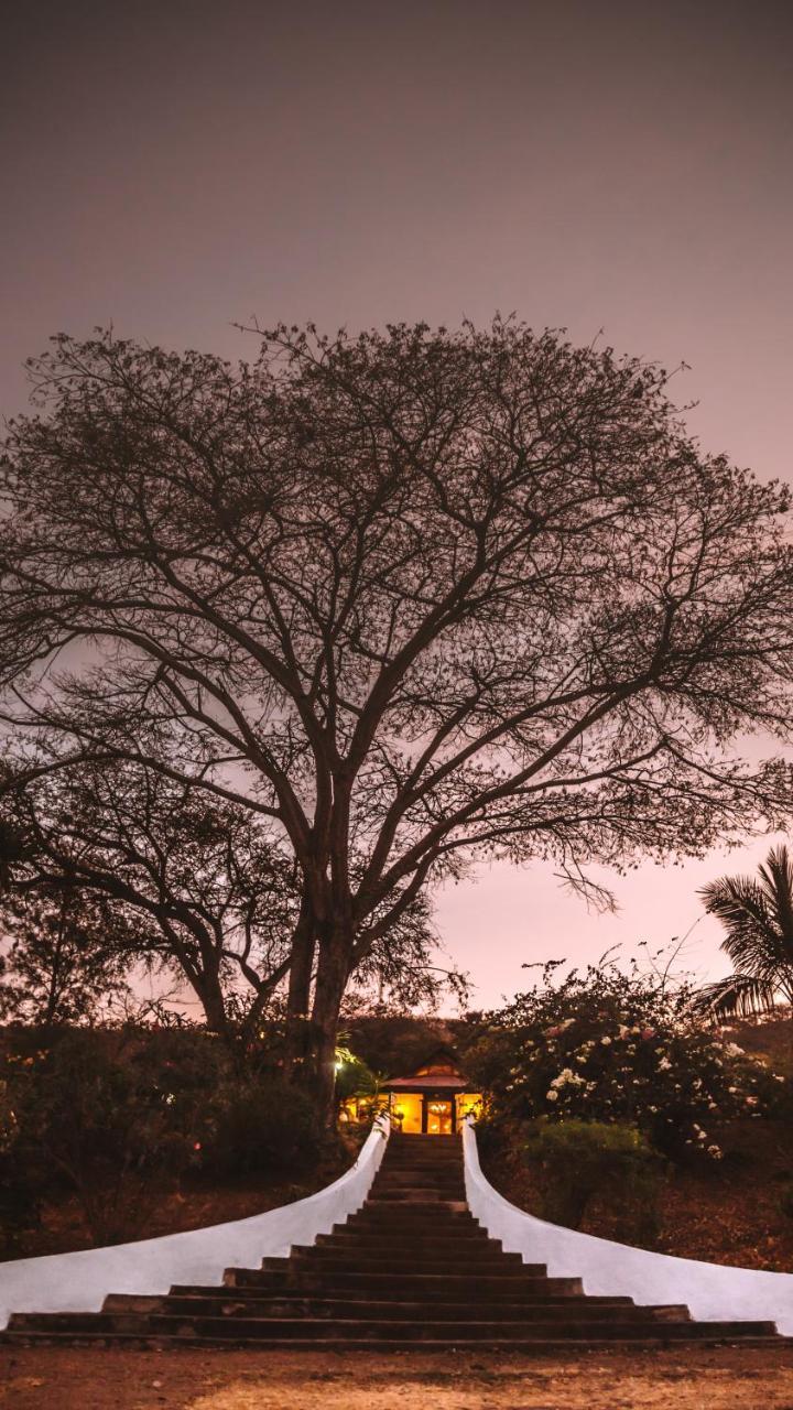 Utengule Coffee Lodge Esterno foto